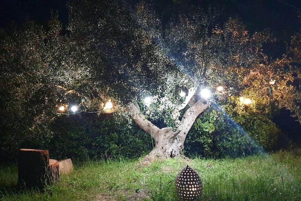 Nirya - Unique Trulli & Martina Franca